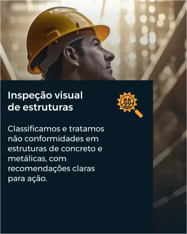 Detalhes da inspeção visual - Informações sobre o serviço